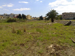 thumb_005_g.jpg